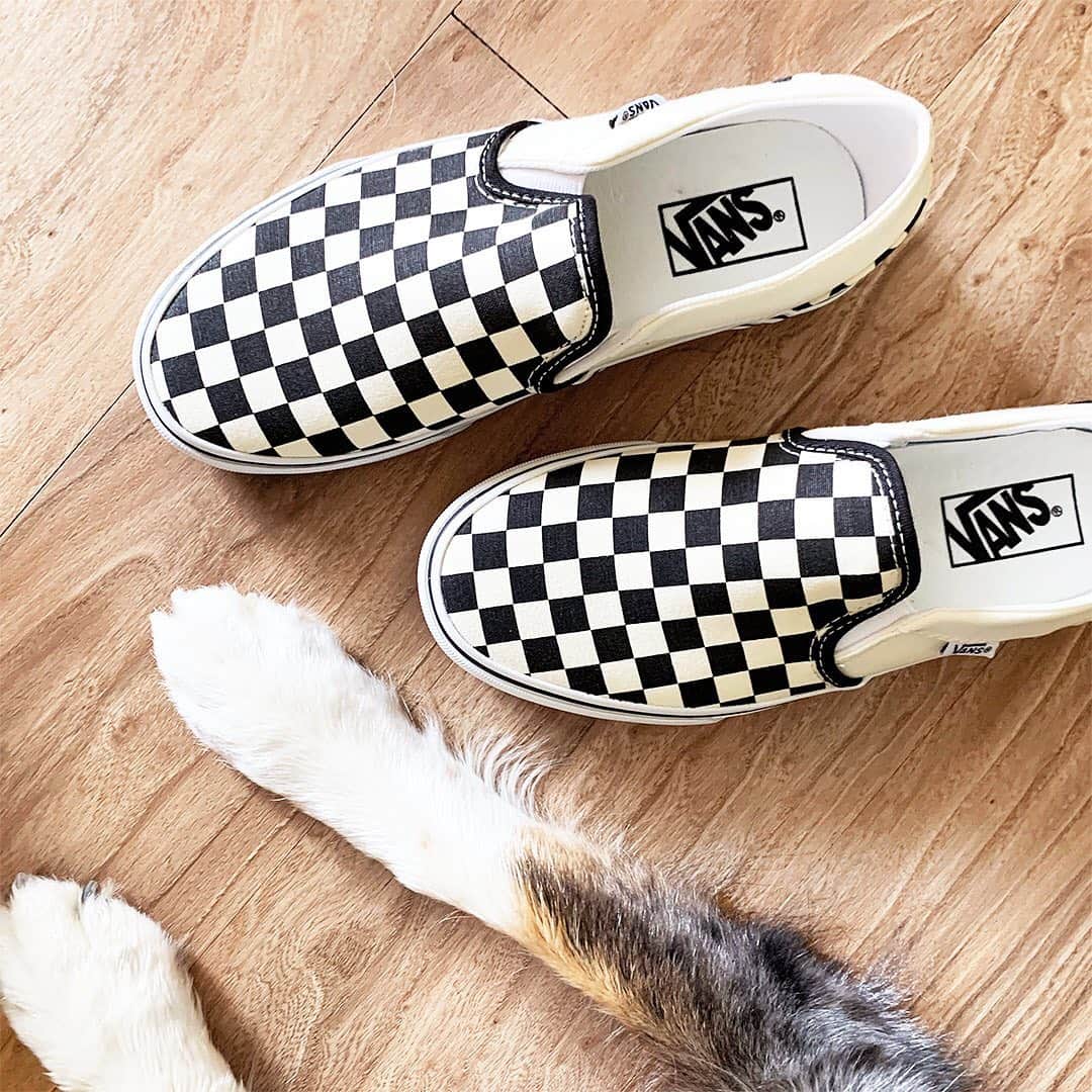 ロック&リパブリックのインスタグラム：「Get your paws on these cute shoes! 🐾 #Kohls」