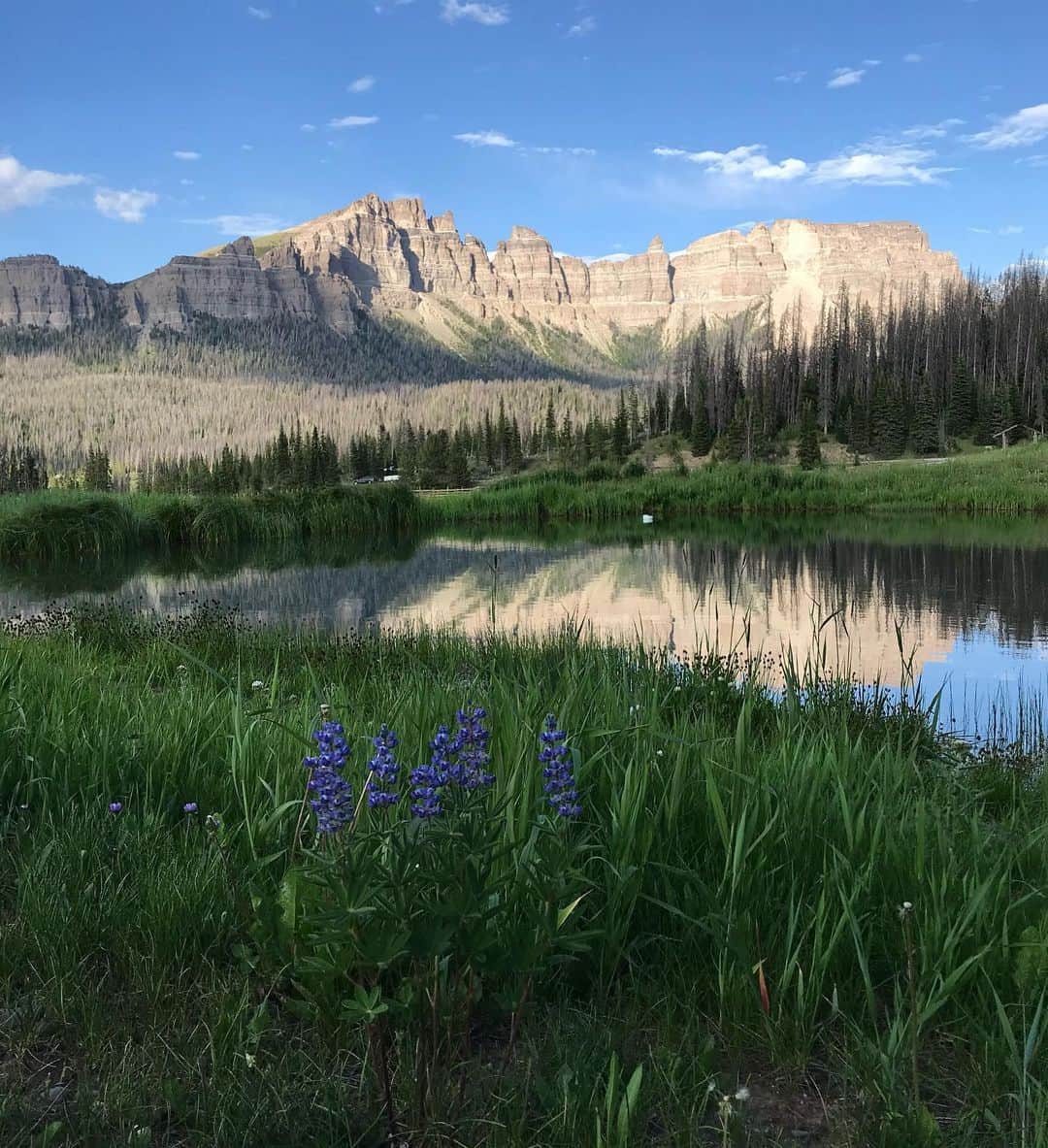 レイチェルロイさんのインスタグラム写真 - (レイチェルロイInstagram)「The heart aroused 🏞  Brooks Lake Lodge, Wyoming  #rachelroy  #wyomingmountains  #brookslakelodge  #wyomingskies」7月31日 23時55分 - rachel_roy