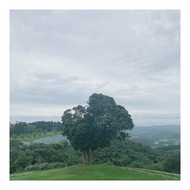 江嶋綾恵梨さんのインスタグラム写真 - (江嶋綾恵梨Instagram)「#えじカメラ 🌳 おやすみなさいませ。😪」8月1日 0時03分 - aeringoooo