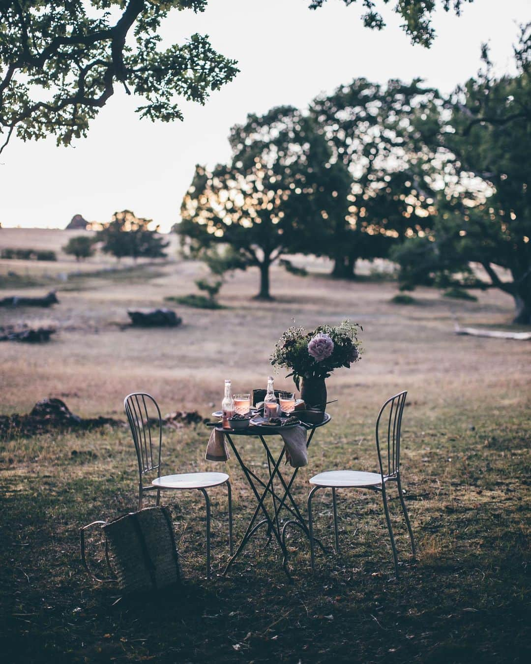 Our Food Storiesさんのインスタグラム写真 - (Our Food StoriesInstagram)「From a dreamy evening in Sweden with our dearest friend @ezgipolat 💞 Happy Friday guys! #ourfoodstories_travel  ____ #visitsweden #visitskane #skåne #österlen #tablesetting #tabledecor #foodstylist #foodphotography #foodphotographer #germanfoodblogger #momentslikethese #eveninglight #chasinglight #simplejoys #fellowmag #verilymoment #simplejoys #picnicdate」8月1日 0時17分 - _foodstories_