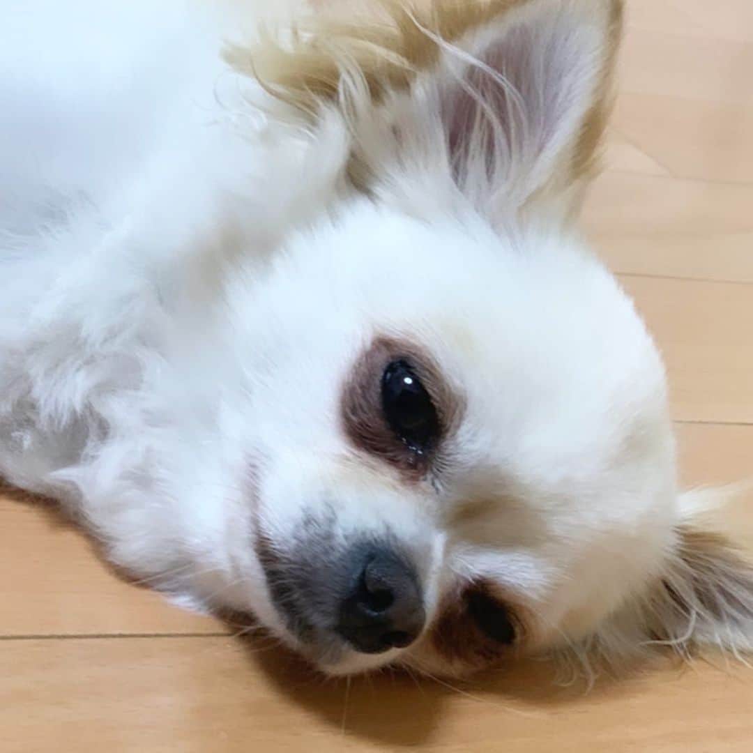 宮内ひかるのインスタグラム：「❤️」