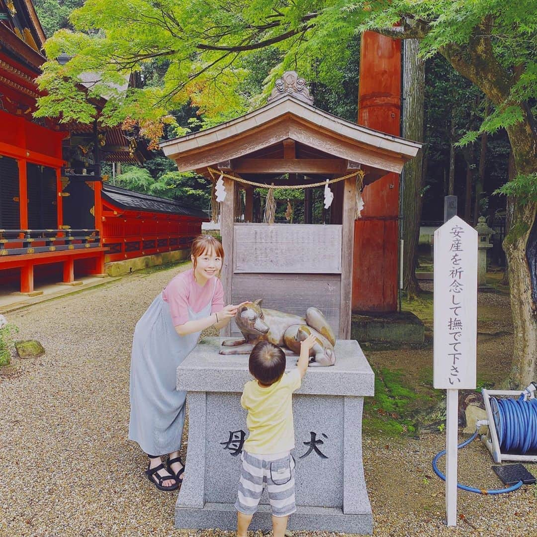 あやなんさんのインスタグラム写真 - (あやなんInstagram)「家族で安産祈願をしに 神社にお参り行ったよ🐶💓  #安産祈願」7月31日 15時50分 - ayachan_0619