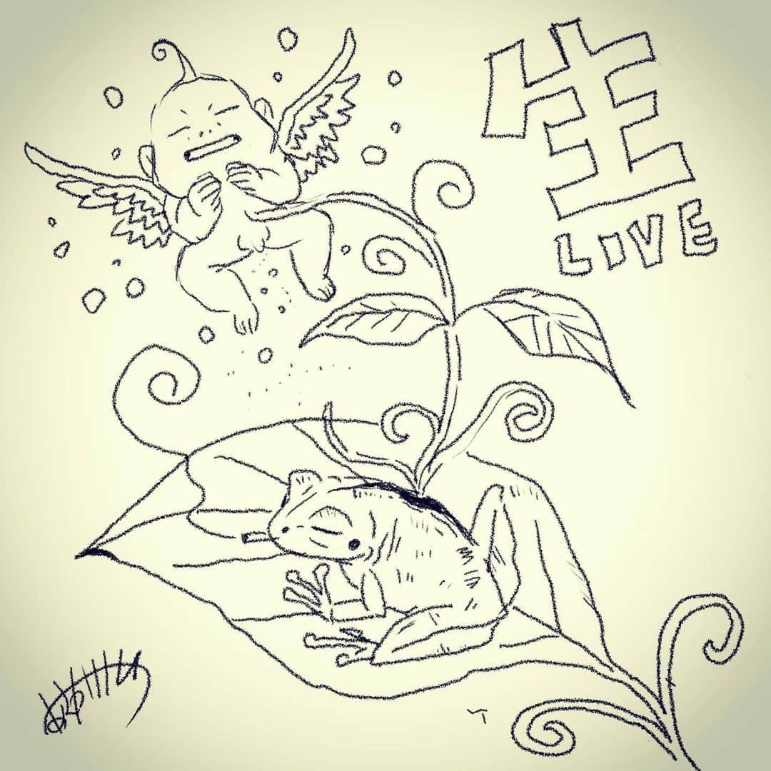 浅香圭（コラゾン）のインスタグラム