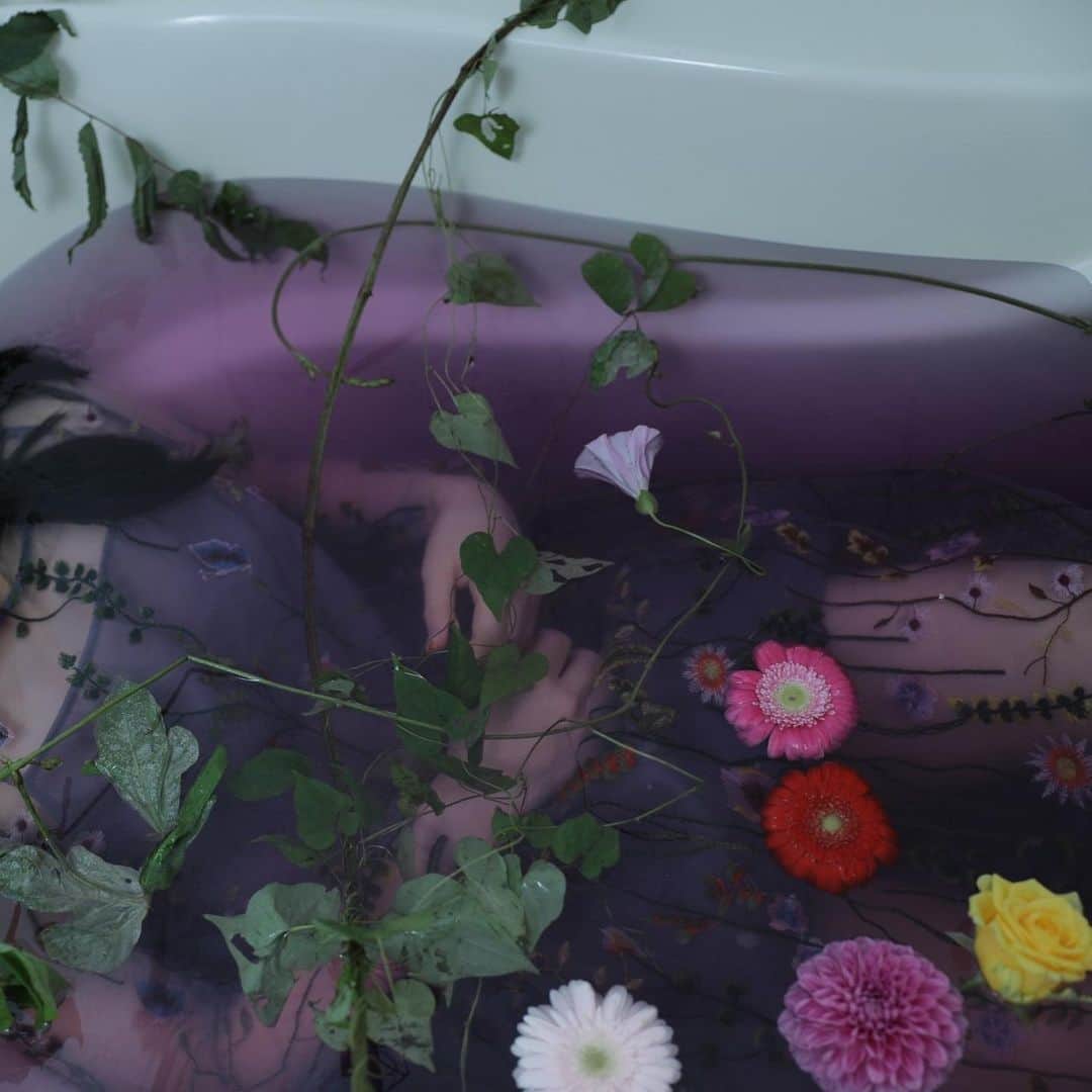 桜雪さんのインスタグラム写真 - (桜雪Instagram)「私の好きなお花たちと一緒に！ こういうアートっぽい撮影初めてだったのですが とても楽しかったのでまたやりたい🌹🌼🌷  #撮影　#花のある暮らし #浴槽で #刺繍ワンピース #shooting #flowerandgirl」7月31日 16時42分 - yuki_12hsm