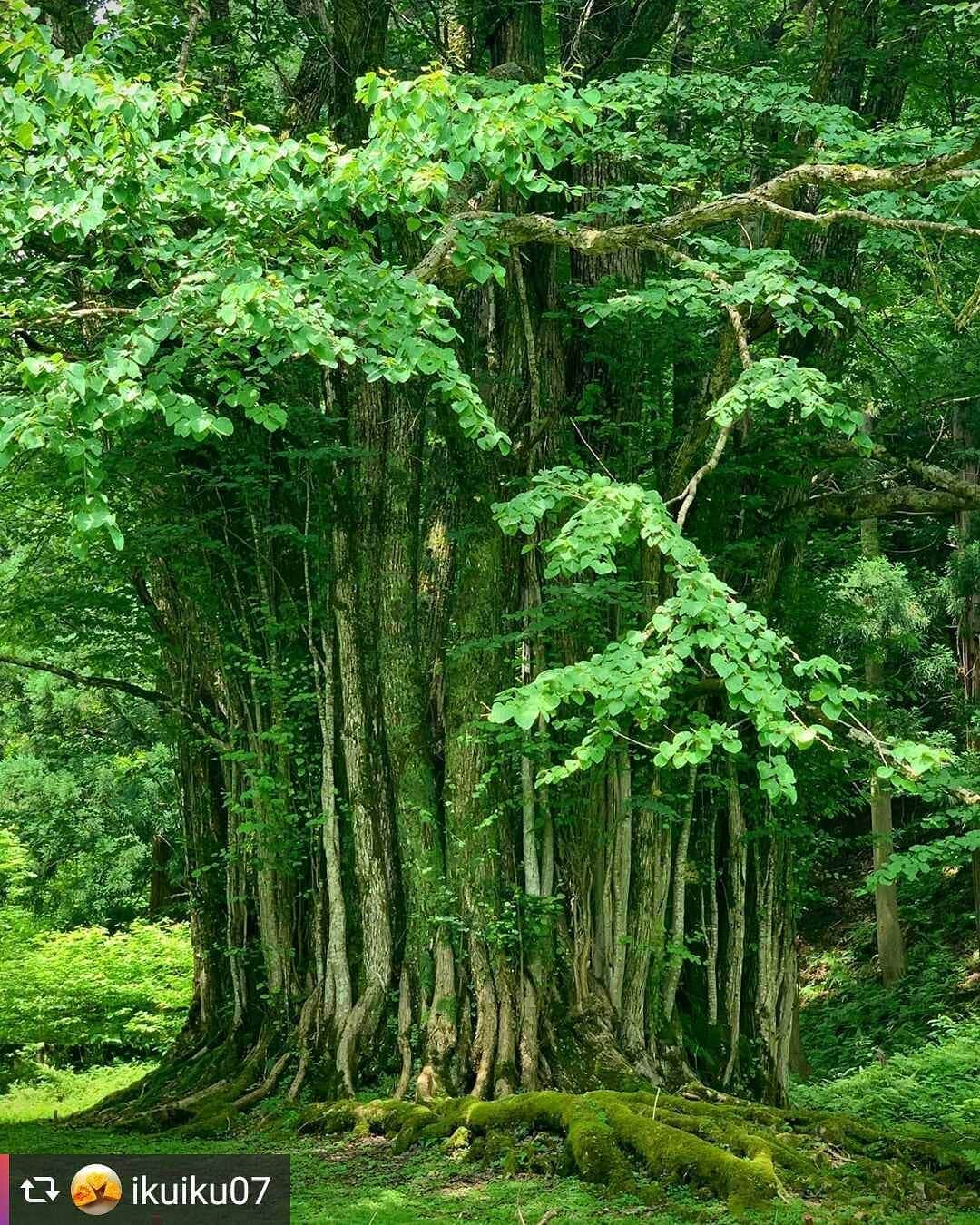 兵庫県のインスタグラム