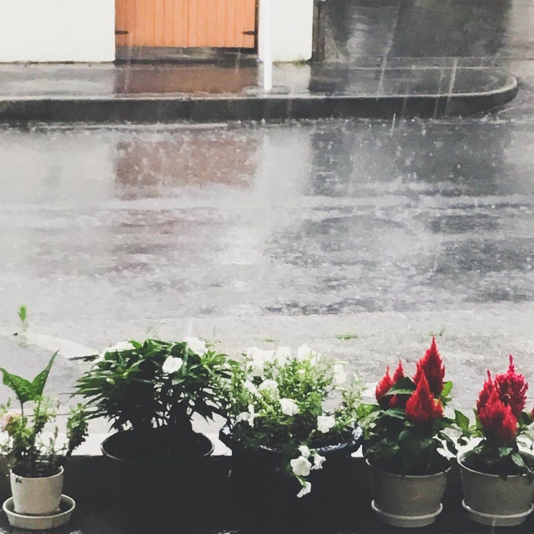 ユーロ英会話クラブのインスタグラム：「ようやく梅雨明けしそうですが、﻿ ﻿ 今日もザーッと降りましたね☔️﻿ ﻿ 突然の雷雨にご注意ください⚡️﻿ ﻿ ＝＝＝＝＝＝＝＝＝＝＝＝＝＝﻿ サチフル英会話クラブ﻿ http://sachifull.com/﻿ ☎0561-58-9450（代表） ﻿ 長久手本校 (長久手アピタ北側出口　徒歩1分)﻿ ●ベビークラス●キッズクラス●大人クラス﻿ 東浦校 (石浜駅　徒歩3分)﻿ ●キッズクラス●大人クラス﻿ ＝＝＝＝＝＝＝＝＝＝＝＝＝＝ ﻿ ﻿ #英語 #英会話 #英会話教室 #英会話スクール #キッズ英会話 #英語の勉強 #べびー #ベビー #子供 #子ども #キッズ #小学生 #中学生 #子連れ #子連れママ #ママ #初級 #超初級 #英会話初心者 #子供英会話 #海外旅行 #海外赴任 #留学 #instastudy #長久手 #東浦 #サチフル英会話クラブ #サチフル #雨模様」
