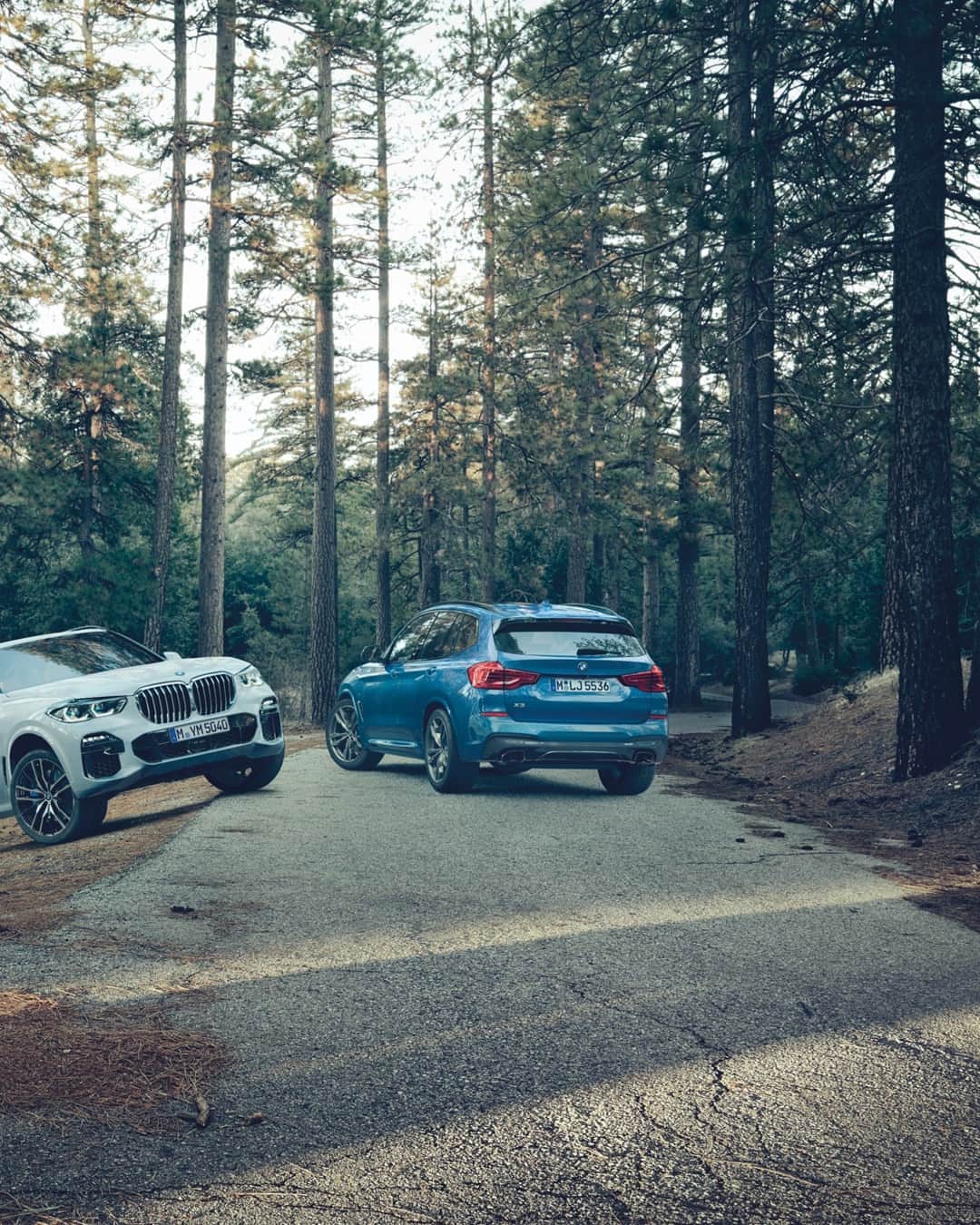 BMWさんのインスタグラム写真 - (BMWInstagram)「Go out an play. Which X do you choose? Road: #BMWrepost @enearotella #TheX1 #TheX3 #TheX5 #BMW #xCrew #BackToNature #outdoor #woods #instanature」7月31日 17時05分 - bmw