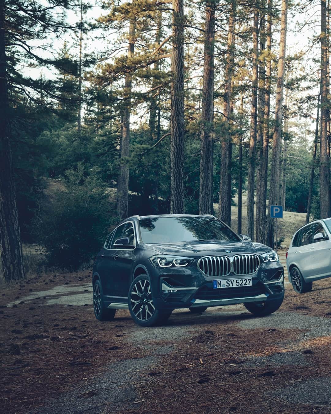 BMWさんのインスタグラム写真 - (BMWInstagram)「Go out an play. Which X do you choose? Road: #BMWrepost @enearotella #TheX1 #TheX3 #TheX5 #BMW #xCrew #BackToNature #outdoor #woods #instanature」7月31日 17時05分 - bmw