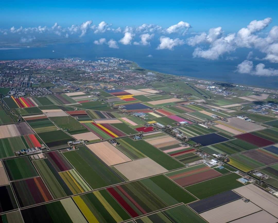 National Geographic Travelさんのインスタグラム写真 - (National Geographic TravelInstagram)「Photo by Muhammed Muheisen @mmuheisen  I captured these blossoming tulip fields in Den Helder, Netherlands, a few years ago while flying over the region. For more photos and videos from different parts of the world, follow me @mmuheisen and @mmuheisenpublic. #muhammedmuheisen #Netherlands #Tulips」7月31日 17時08分 - natgeotravel