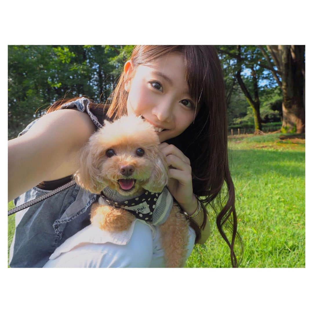 松尾薫さんのインスタグラム写真 - (松尾薫Instagram)「#noamatsu 🐶 先週の日曜日に実家で飼っていた 愛犬のノアちゃんが天国に行ってしまいました。  ノアちゃんが生きていた11年間 私は中学、高校を卒業し、 成人式を迎え、そして結婚。 私にとって色んなことがありましたが そんな行事や思い出も全部ノアちゃんがいました。  色んなところにも行ったし 落ち込んでる時は 必ずそっと側にいてくれてました✨ 松尾家に沢山の癒しをくれて ありがとう♥️  私の友達にも沢山可愛がってもらっていたので 本当に幸せだったと思います😌  病気が発覚してこの3年間は 大っ嫌いな薬や注射もよく頑張ってくれました。 実は去年は福岡と山口にも遊びに来てくれたんです😄♥️  本当に大人しくてとっても良い子で 11歳になってもお散歩行く度に 赤ちゃんですか？と聞かれるぐらい 小さくて可愛かったノアちゃん  いつまでも忘れないし いつまでも大好きです♥️  これからも空から家族を見守っててね🐶  写真は3年前の2ショット(若い！)と 実家でのノアちゃんとメイちゃんのお揃い着物ショット✨」7月31日 17時08分 - kaoru_matsuo78