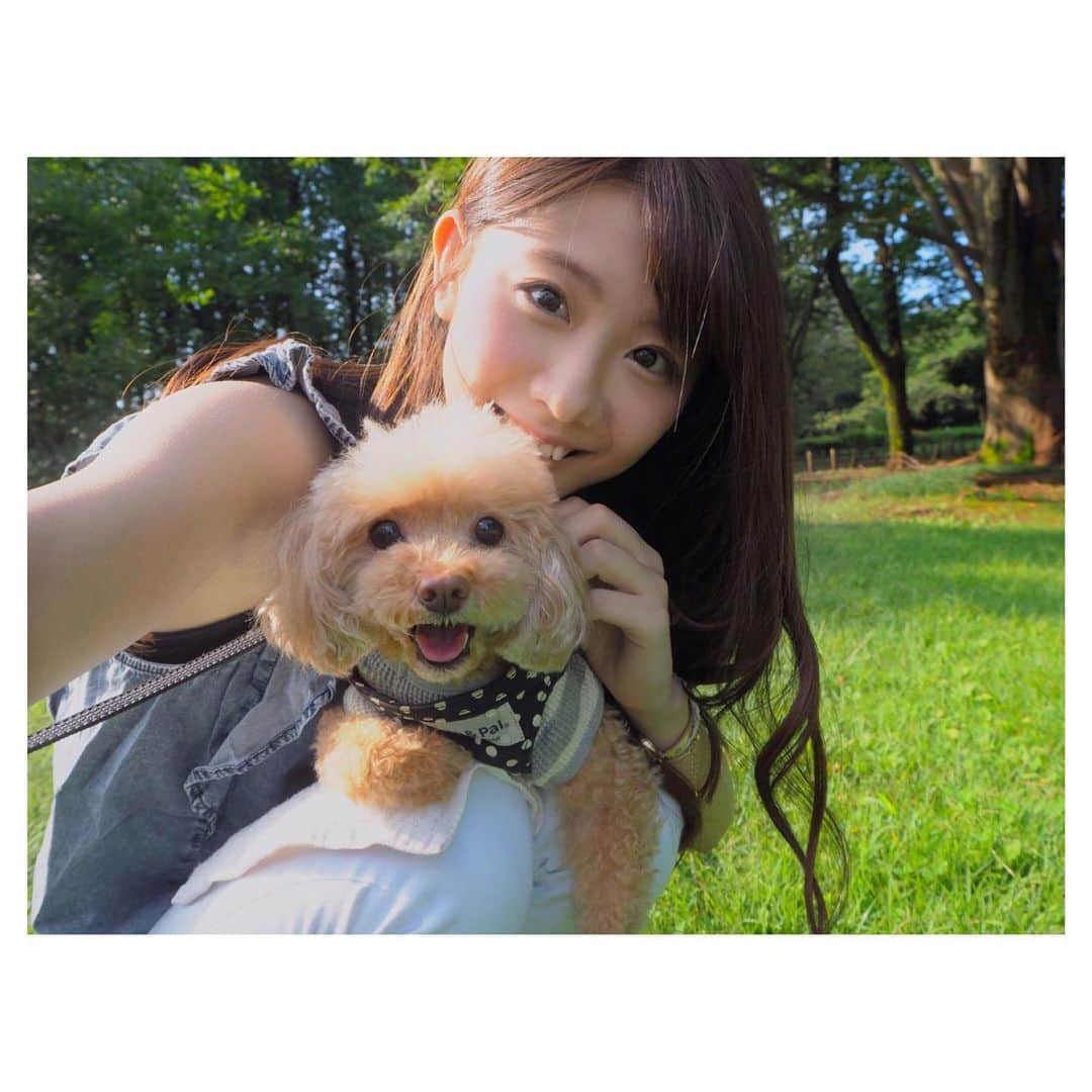 のインスタグラム：「#noamatsu 🐶 先週の日曜日に実家で飼っていた 愛犬のノアちゃんが天国に行ってしまいました。  ノアちゃんが生きていた11年間 私は中学、高校を卒業し、 成人式を迎え、そして結婚。 私にとって色んなことがありましたが そんな行事や思い出も全部ノアちゃんがいました。  色んなところにも行ったし 落ち込んでる時は 必ずそっと側にいてくれてました✨ 松尾家に沢山の癒しをくれて ありがとう♥️  私の友達にも沢山可愛がってもらっていたので 本当に幸せだったと思います😌  病気が発覚してこの3年間は 大っ嫌いな薬や注射もよく頑張ってくれました。 実は去年は福岡と山口にも遊びに来てくれたんです😄♥️  本当に大人しくてとっても良い子で 11歳になってもお散歩行く度に 赤ちゃんですか？と聞かれるぐらい 小さくて可愛かったノアちゃん  いつまでも忘れないし いつまでも大好きです♥️  これからも空から家族を見守っててね🐶  写真は3年前の2ショット(若い！)と 実家でのノアちゃんとメイちゃんのお揃い着物ショット✨」