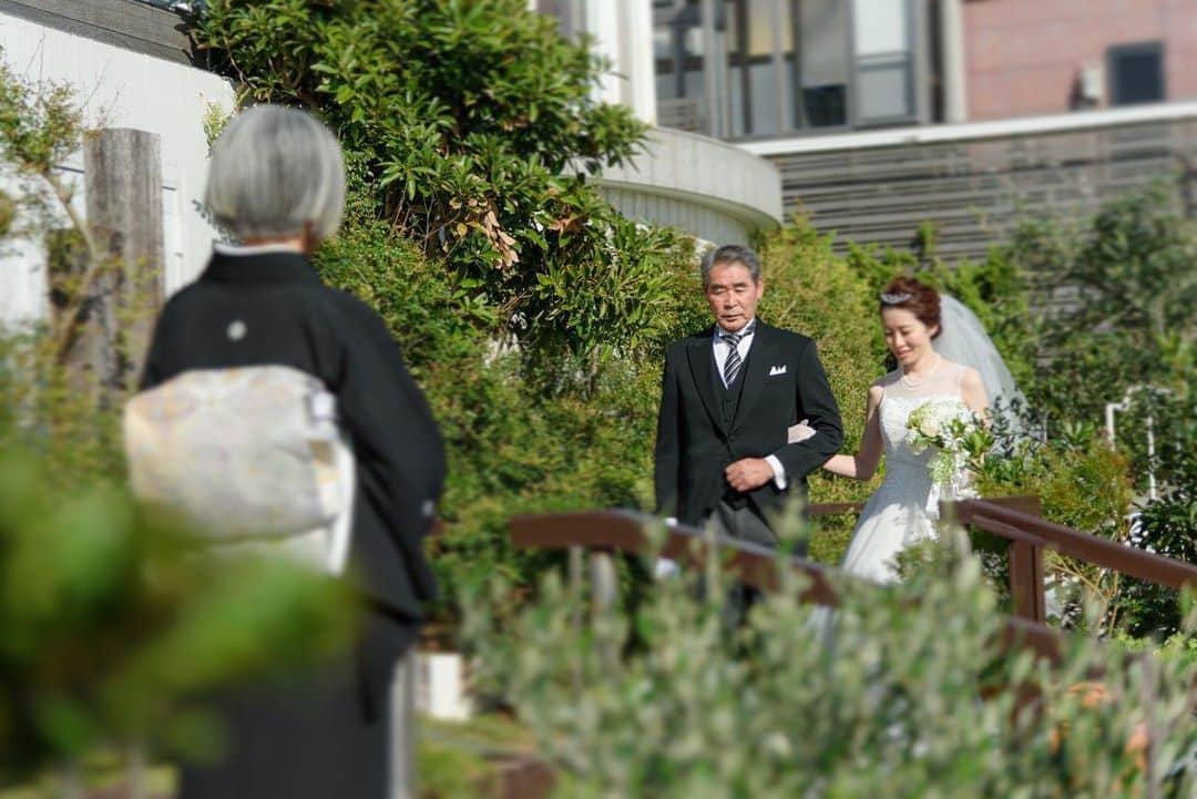 指帆亭のグルメインスタ