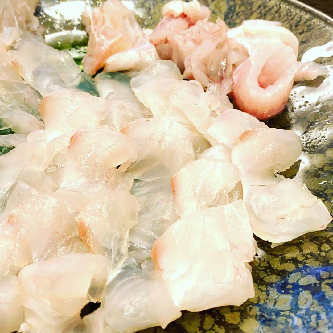 神宮司治さんのインスタグラム写真 - (神宮司治Instagram)「昨日釣りバカ対決が放送されました！！ 結果は惜しくも敗れてしまいましたが、ヒラメとの駆け引きはとても刺激的で楽しかったです。 帰ってからも美味しく頂きました！！ ヒラメって美味しいよな〜(￣∇￣)  #神宮司治 #ドラム #レミオロメン #釣りバカ対決 #ヒラメ #竿頭 #5枚おろし #美味しい #釣り」7月31日 17時52分 - ojro_men