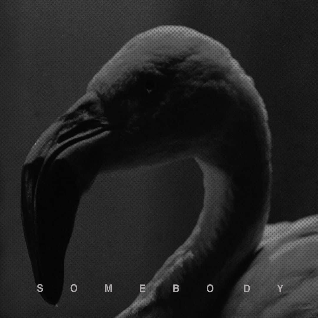 ハーツのインスタグラム：「SOMEBODY. THE FOURTH RELEASE FROM OUR FORTHCOMING ALBUM ‘FAITH’. LISTEN NOW. LINK IN BIO.」