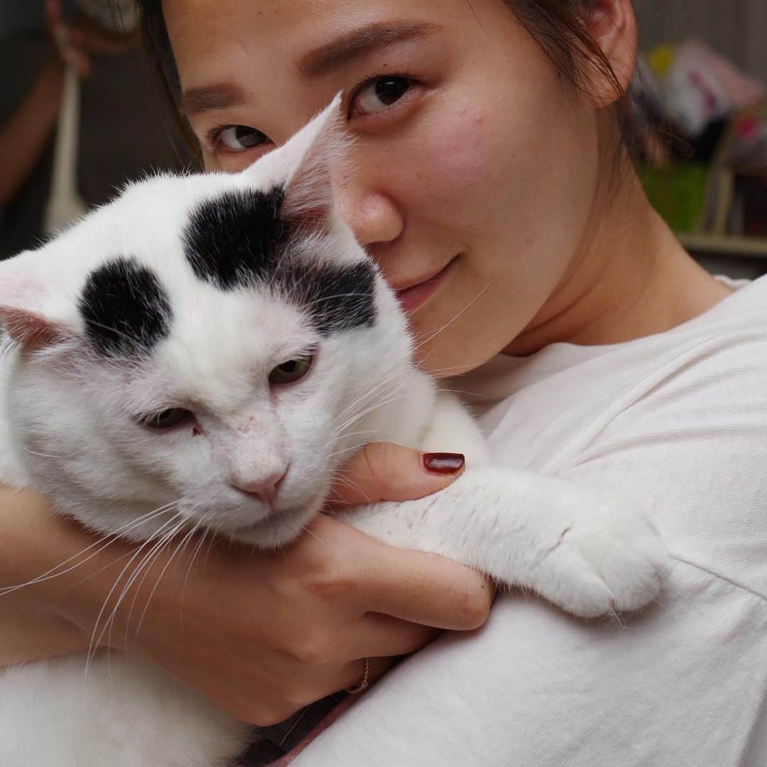 Kachimo Yoshimatsuさんのインスタグラム写真 - (Kachimo YoshimatsuInstagram)「ナナクロが生きてる最後の写真。 抱っこしてるのは、姪っ子のゆうちゃん。 この写真が最後なんで全然考えもしなかったよ。 もっといっぱい写真撮りたかったな。 #うちの猫ら #nanakuro #ナナクロ #猫 #ねこ #cat #ネコ #catstagram #ネコ部 http://kachimo.exblog.jp」7月31日 18時06分 - kachimo