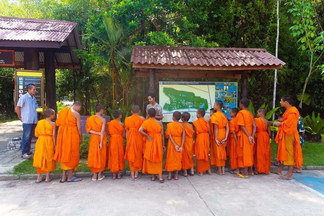 タイ国政府観光庁さんのインスタグラム写真 - (タイ国政府観光庁Instagram)「・ ＼✨今週も1週間お疲れ様でした✨／﻿ ﻿ トランの半島植物園（トゥン・カイ）から、小さな僧侶たちの写真をお届け📸﻿ ﻿ オレンジ色の鮮やかな袈裟をまとった少年僧侶たち🙏✨一生懸命学んでいる姿が微笑ましいですね😊﻿ ﻿ こちらの植物園は約416万㎡を有する広大な施設で、園内では絶滅危惧種を保護しているほか、全長175mの吊り橋から湿地林を散策することもできます🌴﻿ ﻿ 皆さま、体調に気をつけてよい週末をお過ごしください☺️﻿ ﻿ #タイ #トラン #少年僧 #僧侶 #植物園 #こんなタイ知らなかった #もっと知りタイ #タイ旅行 #旅好きな人と繋がりたい #旅行好きな人と繋がりたい #海外旅行  #thailand #trang #peninsularbotanicalgarden #thungkhai #amazingthailand #thailandtravel #thailandtrip #thai #thaistagram #lovethailand  #thainess」7月31日 18時11分 - amazingthailandjp