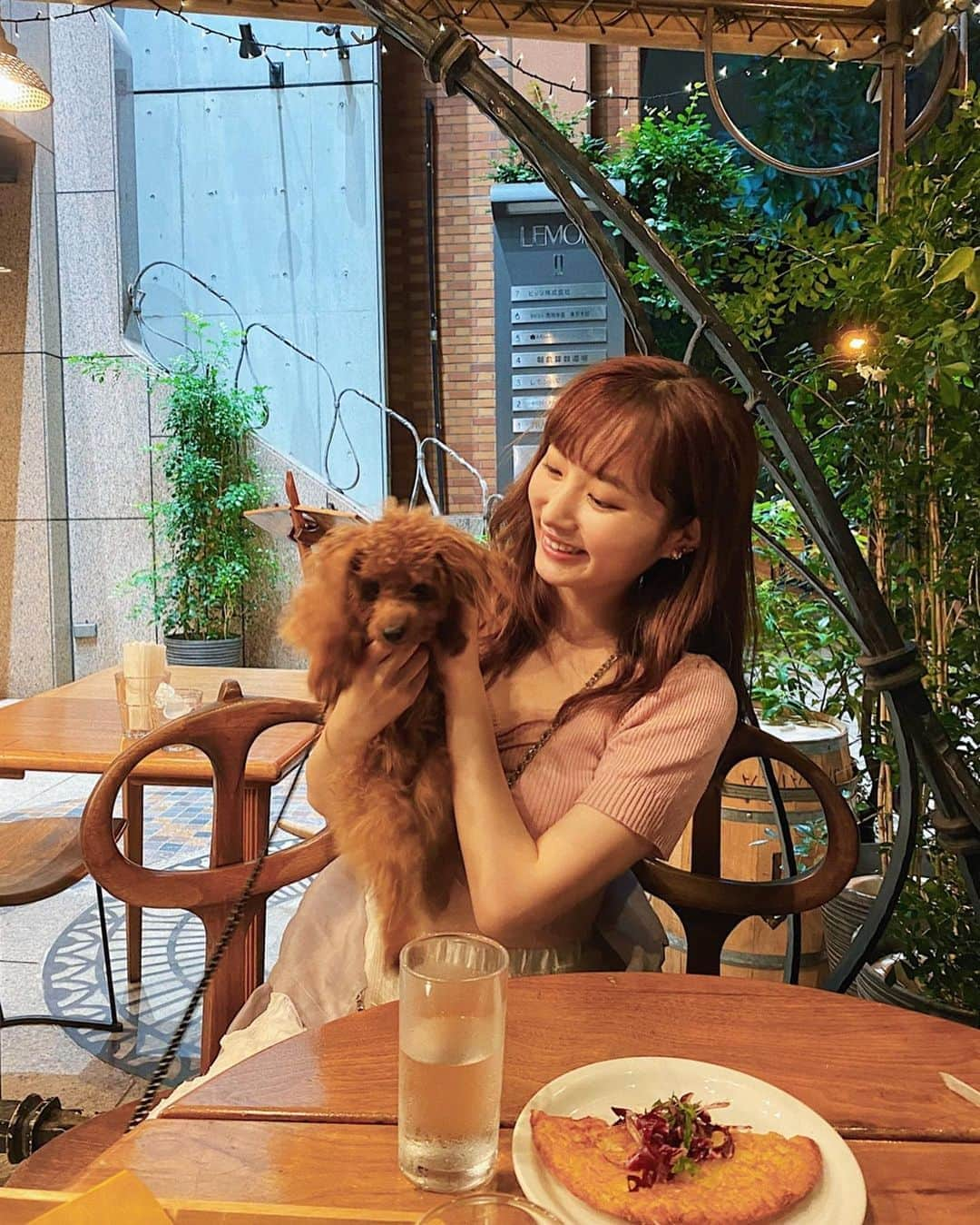 茉莉さんのインスタグラム写真 - (茉莉Instagram)「🐶☘️🌆 . . 一緒にお出かけ。 元気いっぱいの男の子、トイプーの 『シュシュ』くんです🐾宜しくね☺️ . . . #トイプー#男の子#愛犬#これからもよろしくね🌸#犬のいる暮らし #ワンチャン投稿#増えると思います#😂❤️」7月31日 19時05分 - mari._xx