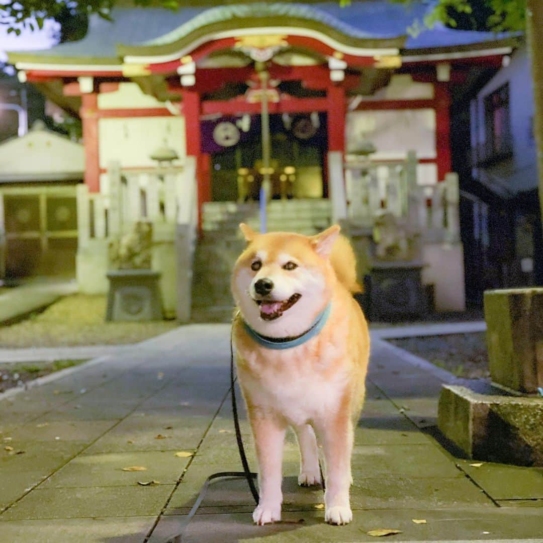 まる（まるたろう）のインスタグラム