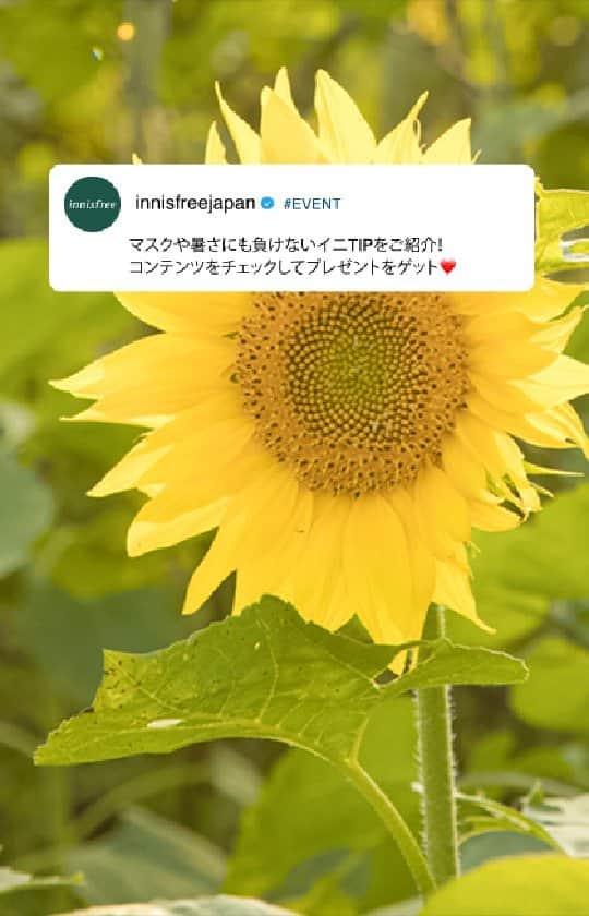 イニスフリー | 日本公式のインスタグラム