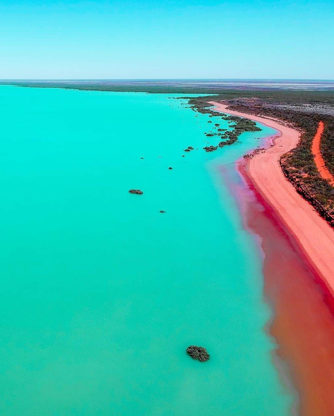 Australiaさんのインスタグラム写真 - (AustraliaInstagram)「#RoebuckBay rocking fluro like it's 1985 😎 @coastal_drifters captured the unbelievably eye-catching #RoebuckBay in @australiasnorthwest, known for its dramatically colourful landscapes. A must-visit @westneraustralia destination, this long stretch of red sand spans from @VisitBroome towards #CapeVillaret, creating a striking contrast against the bright turquoise waters. Recently named Australia’s newest marine park, take a #RoebuckBayEcoCruise with @bestofthekimberley to experience the rich history and natural beauty of the area - you’ll have the chance to interact with the resident #snubfin #dolphins too! #seeaustralia #westernaustralia #australiasnorthwest」7月31日 20時00分 - australia