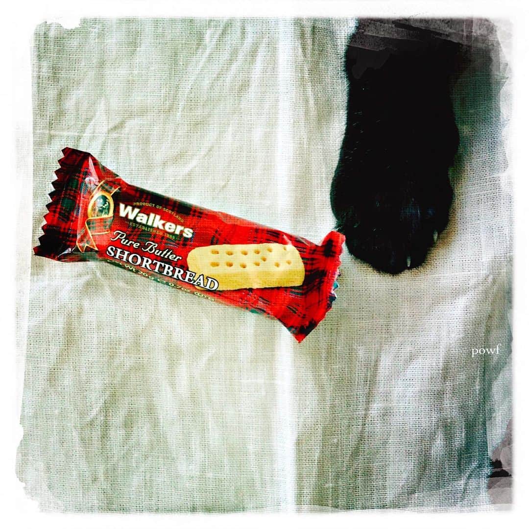 anemone_69のインスタグラム：「. favorite おやつ . . #walkers #ショートブレッド . #食いしん坊キョウジュ #DreamCanvas_powf . . .」