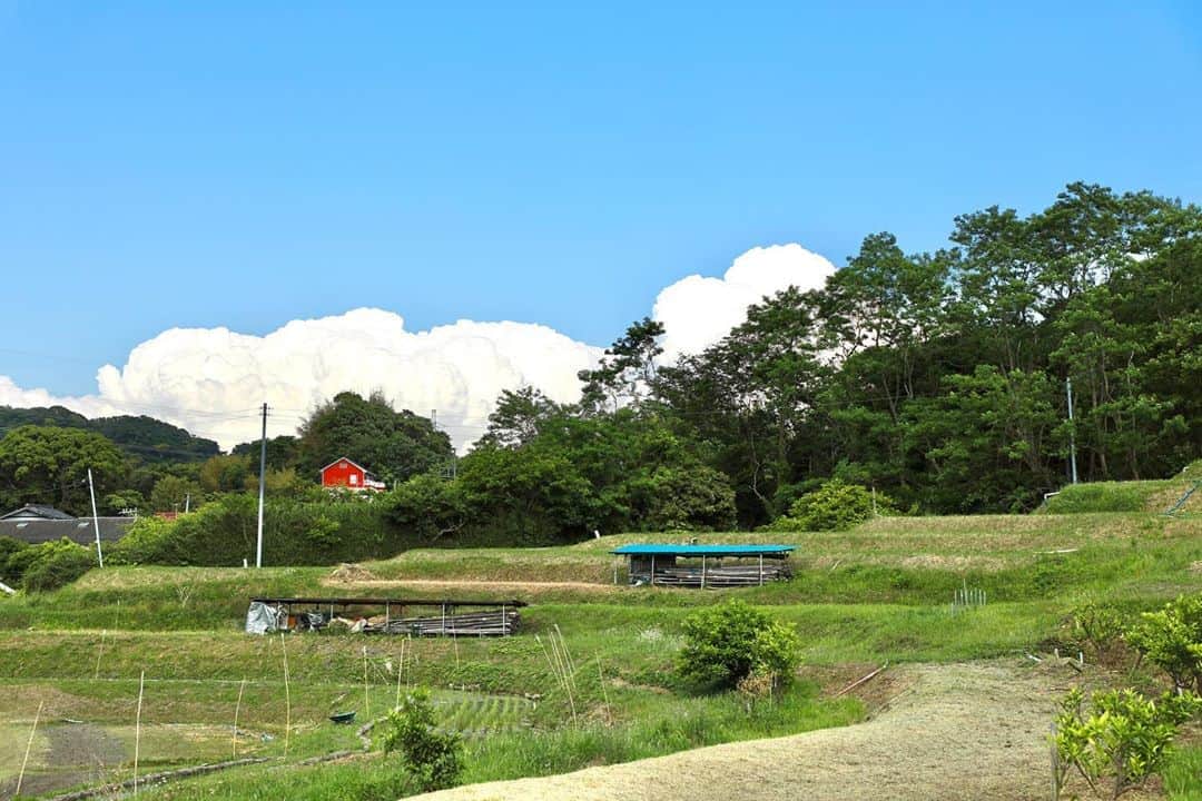葉山町のグルメインスタ