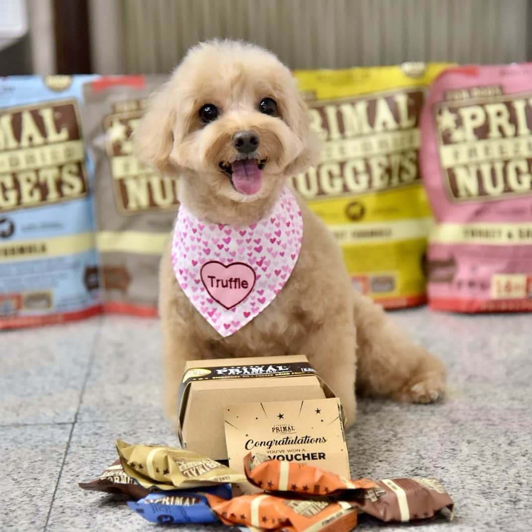 Truffle??松露?トリュフのインスタグラム