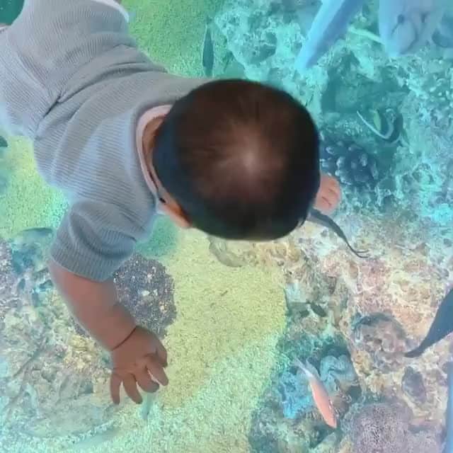 ままのてのインスタグラム