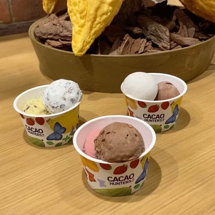 市川歩美のグルメインスタ