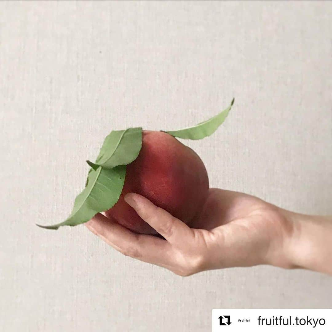 森絵里香さんのインスタグラム写真 - (森絵里香Instagram)「. @fruitful.tokyo と @miwa_ozawa のpostで知った信州生まれのフルーツ『ワッサー』 桃とネクターのあいの子です🍑 . @fruitful.tokyo からこのワッサーを購入すると売上の10%が九州への支援金になるとの事で、私も早速自宅用と残暑見舞い用に購入✨ . 中々会いたい人に会えない今だからこそ、美味しいものと一緒に『想い』を届けられたら… そんな気持ちで購入しました☺️ . 農家の方の熱い気持ちで逞しく育てられたワッサー、きっときっと想像以上に美味しいんだろうな 今から届くのが楽しみです✨ . @fruitful.tokyo にDMすると仲介してもらえるので、気になる方は是非メールしてみてね📩 . . #Repost @fruitful.tokyo with @get_repost ・・・ 台風19号、千曲川氾濫時の夜に私の出来る事でサイトを作り、売り上げを支援金にしてもらおうと。  祈ってばかりもいられない！千葉の実家も酷い事になりつつあり、やっと今土手崩れの着工が始まろうとしています。  フルーツファーム中村農園さんの中村太士さんに直感でこの人なら支援金を生かしてくれると感じたモニター越し📺今年3月長野、千曲川に直接伺った現地の様子と支援者が支援する団体「HERTY DFCO」様を紹介して頂きました。  それから半年、中村さんから見事なが届きました🍑感慨深く、この桃の売り上げの一部は、次は九州地方の支援する力となる果物。物資はコロナの影響で受け取り不可との事…  私も微力ながらに、協力したいと思っています😊フルーツの売り上げが支援となる🍑  Fruitfulもさらに良いアイテムを届けて力になれるように。頑張ろうと思わせてくれます😌  千葉にもリーダーがいたらどなたか教えて下さい。直ぐにコンタクトさせて下さい！  #長野 #中村農園 #支援のリレー #売り上げの一部は寄付 #フルフルも #一緒 #力強い桃 #優しくて #フルーティーで #気持ち込めて #いただきます #ただの桃じゃない #凄いなぁ #たまき #fax #電話 #注文」7月31日 20時56分 - morierika0502