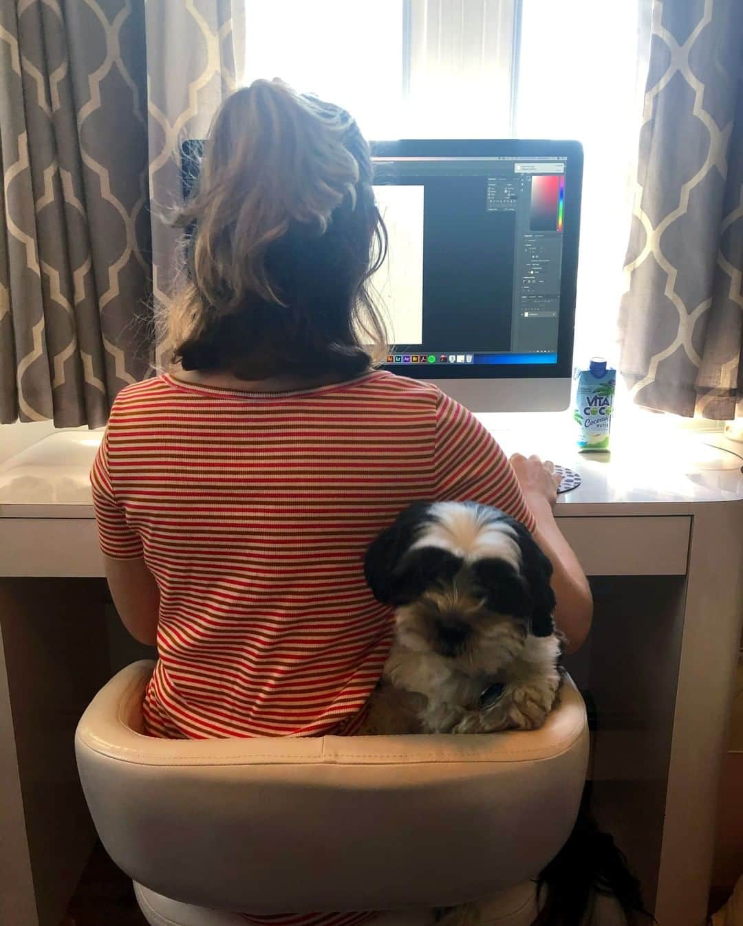 Vita Coco Coconut Waterのインスタグラム：「Working from home is nice until your co-worker wants to share your chair..」