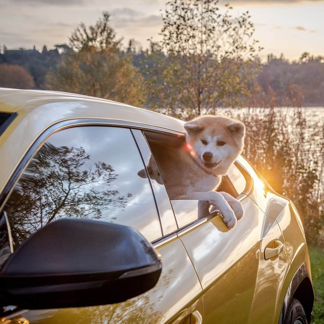 ランボルギーニさんのインスタグラム写真 - (ランボルギーニInstagram)「Urus and a special friend: there’s no better way to start the weekend. Who will you spend it with?  #Lamborghini #Urus #LamborghiniWeekenders」7月31日 21時00分 - lamborghini