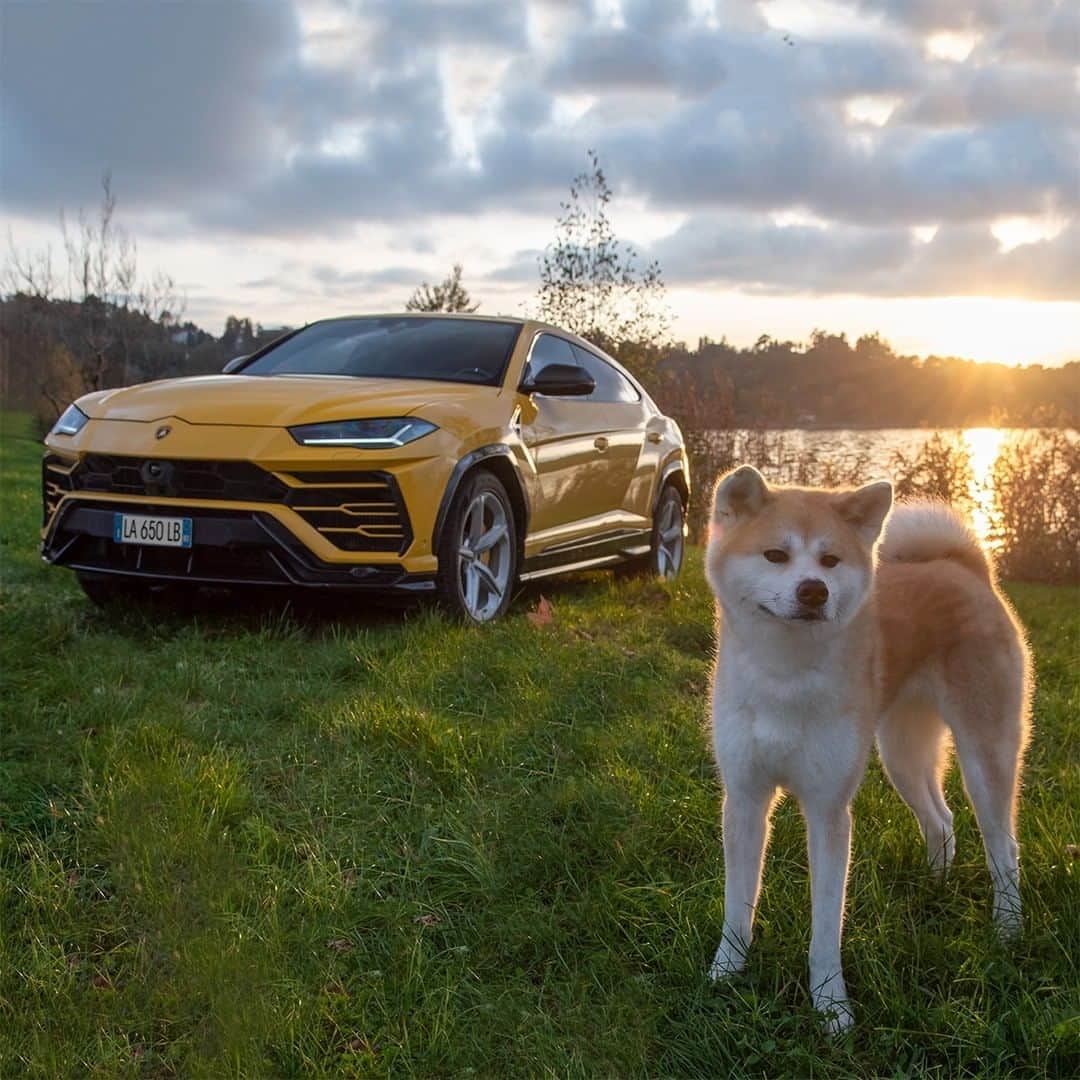 ランボルギーニのインスタグラム：「Urus and a special friend: there’s no better way to start the weekend. Who will you spend it with?  #Lamborghini #Urus #LamborghiniWeekenders」