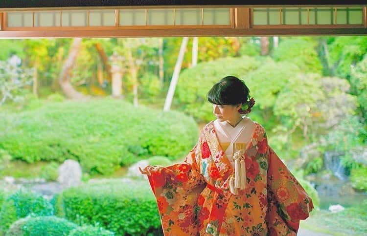 桜鶴苑のグルメインスタ