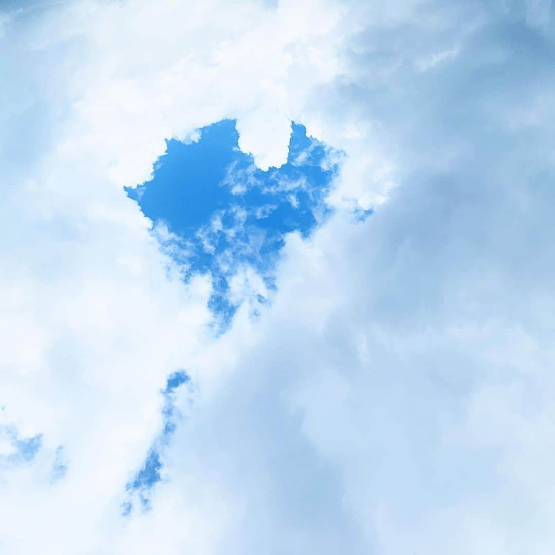 ノーマさんのインスタグラム写真 - (ノーマInstagram)「🤍🌏🌱🤍 Can you see the cloud floating in the sheet of paper.  ーThích Nhất Hạnhー　 1枚の紙から感じるこの世の森羅万象。  #ThíchNhấtHạnh」7月31日 21時25分 - noma77777