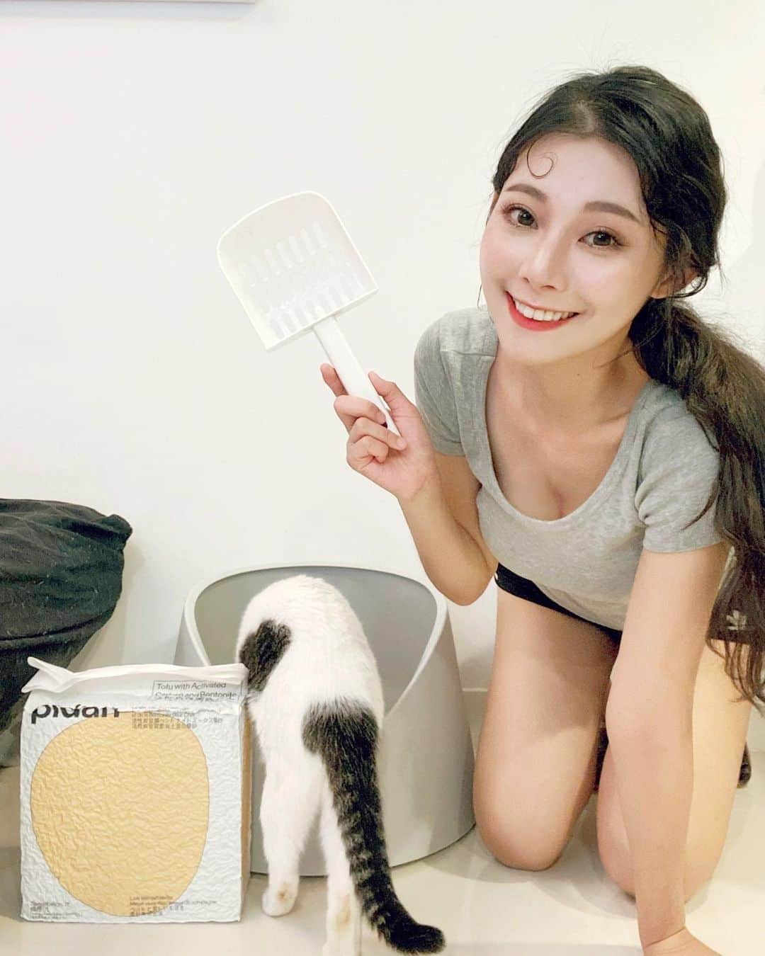 張香香のインスタグラム：「女鵝們的新給西來了～ 一來麥麥就好奇地東聞西聞🤣 以雪山為靈感的貓砂盆🗻 搭配新的pidan吸吸君除臭活性碳貓砂用用看 觀察了幾天真的是比較不容易臭耶😳很不錯👍🏻 - 貓砂和貓砂盆都在 @maoselect 可以找到 還有麥麥常抓的鱷魚貓抓板 和常躺的圓圓貓抓床 也都是我之前在這個網站上買的 很常會被同是貓奴的網友詢問😝 有興趣的奴才們可以去逛逛😚 - @pidan_taiwan #pidan #pidantaiwan #maoselect #我的mao日常」