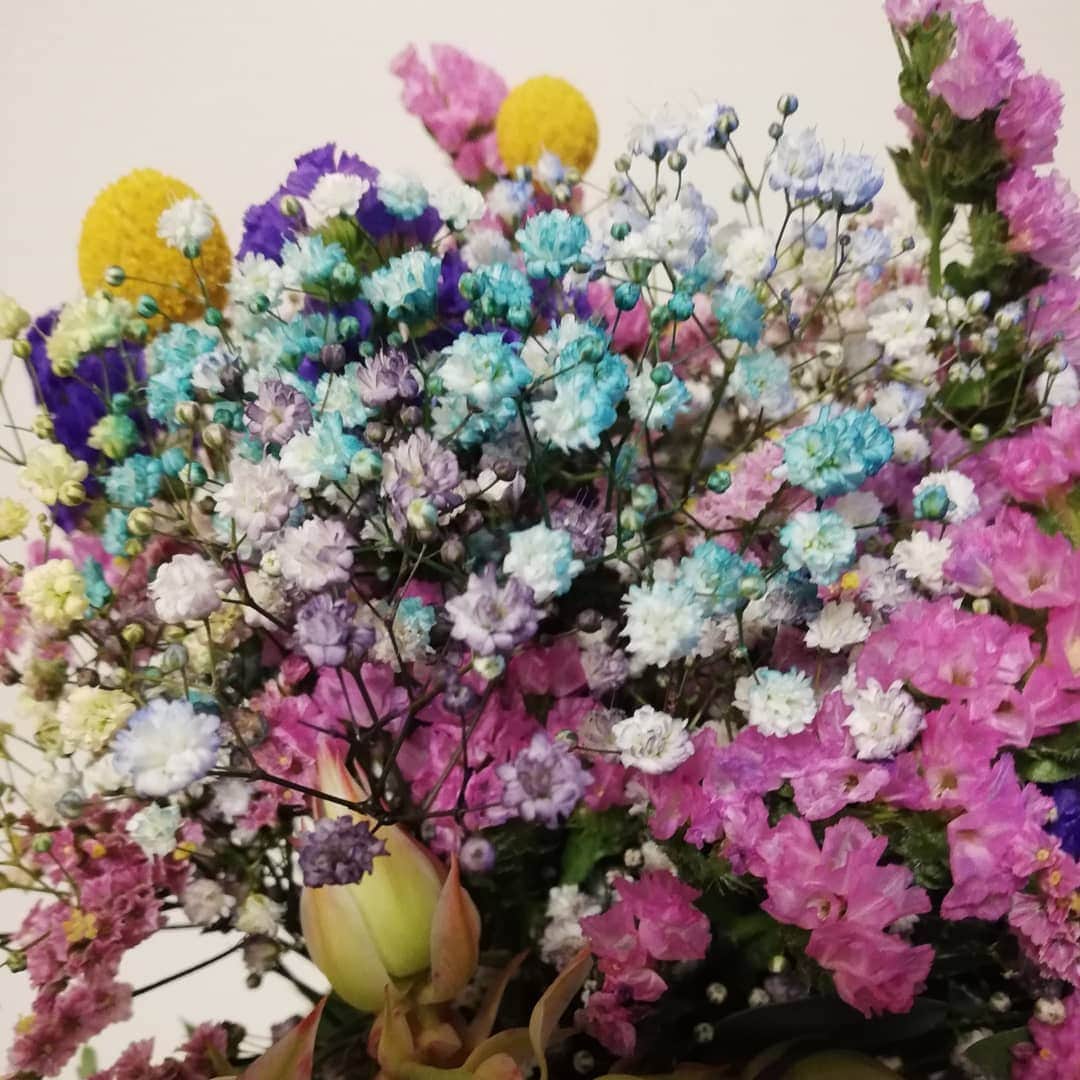 佐藤裕二さんのインスタグラム写真 - (佐藤裕二Instagram)「ひょんなことから（？）友人が花を贈ってくれました。めちゃカワイイ。 めちゃいい香り。 特に気になるのは３枚目。 水色のかすみ草ですかね？  持つべきものは「心のきれいな友」だと再認識する、４７歳７月最終日の夜。  ありがとう。  明日も素敵な一日になりそうだ🍀  #花  #花のある暮らし  #花の贈り物  #花束 #アルジャーノンに花束を  #青い花 #やってみなはれ  #メーテレ #ドデスカ #佐藤裕二  #自撮りおじさん #花おじさん」7月31日 21時32分 - karaage_satou