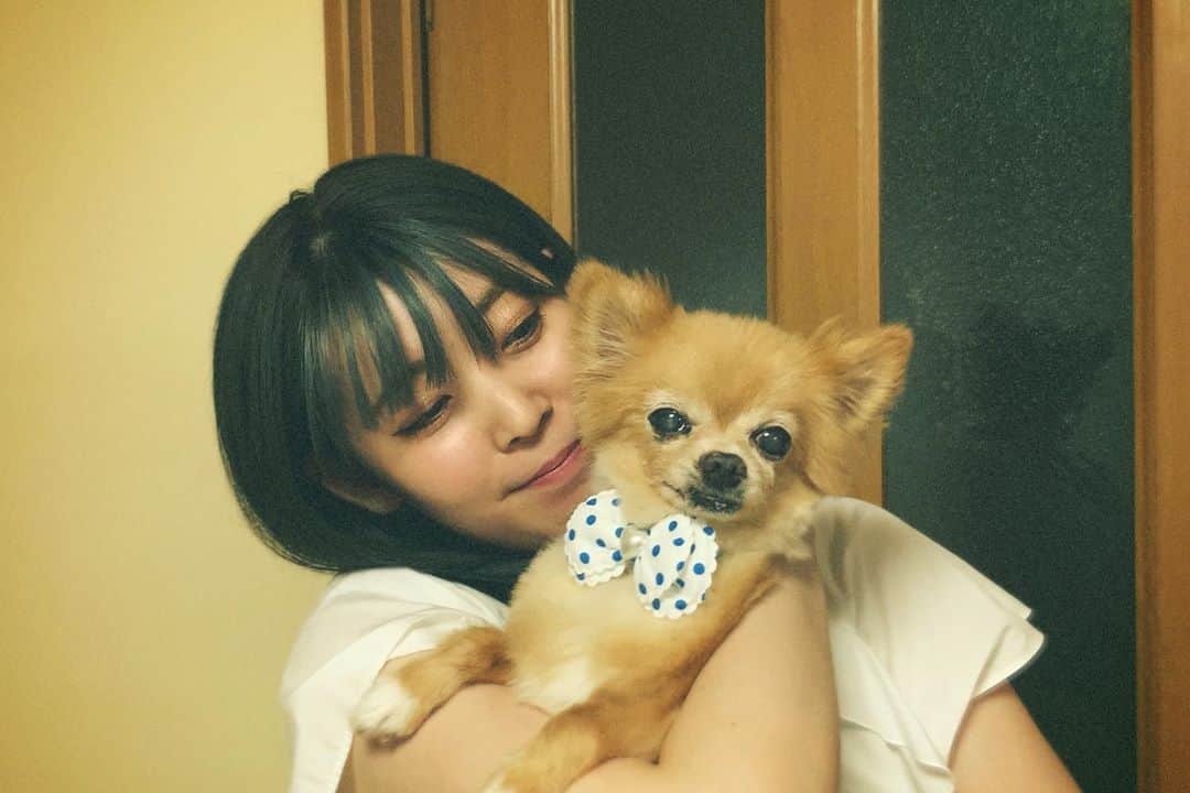 のインスタグラム：「7月最後の投稿〜！！！🍉🌻✨﻿ ﻿ そして1か月毎日投稿するというチャレンジ、﻿ 目標も達成〜😆🌈🌈✨﻿ ﻿ 私、昔からそうなんやけど﻿ どんなに小さな事でも些細な事でも﻿ 目標や夢を決めるんだ〜！！😊🧡﻿ ﻿ そっちの方が毎日が楽しくなるし﻿ 自分も成長出来るしハッピーだなって🥳🥳﻿ ﻿ そして7月最後の写真は﻿ 可愛い可愛い龍ちゃんとのツーショット🥰﻿ ﻿ 喜んでるねー抱っこされてブチュブチュされて﻿ 喜んでるねー❤️ ﻿ ワンちゃんってこんな真顔出来るんだねー🐶笑﻿  あ！あと今日初めて 龍ちゃんのゲップ聞いた🤣🤣  可愛すぎた🤣🤣🤣 ﻿ #チワワ #チワワのいる暮らし  #真顔 #嫌がってる ？？ #🐶  #嫌がってても可愛い #かわいい  #ゲップも可愛い #甘えたさん  #7月 #ラスト #毎日更新 #毎日投稿  #目標達成 #❤️」