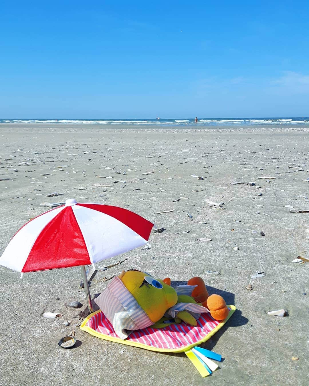 Little Yellow Birdさんのインスタグラム写真 - (Little Yellow BirdInstagram)「After all that stress it's now time to do some serious relaxing! Beach! Sea! And after that: Booze!! #littleyellowbird #tweety #tweetykweelapis #adventures #yellow #bird #ijmuiden #netherlands #nederland #noordzee #northsea #beach #strand #sun #sunnyday #bluesky #bluewater #relaxing #chilling #stuffedanimalsofinstagram #plushiesofinstagram」7月31日 21時53分 - tweetykweelapis