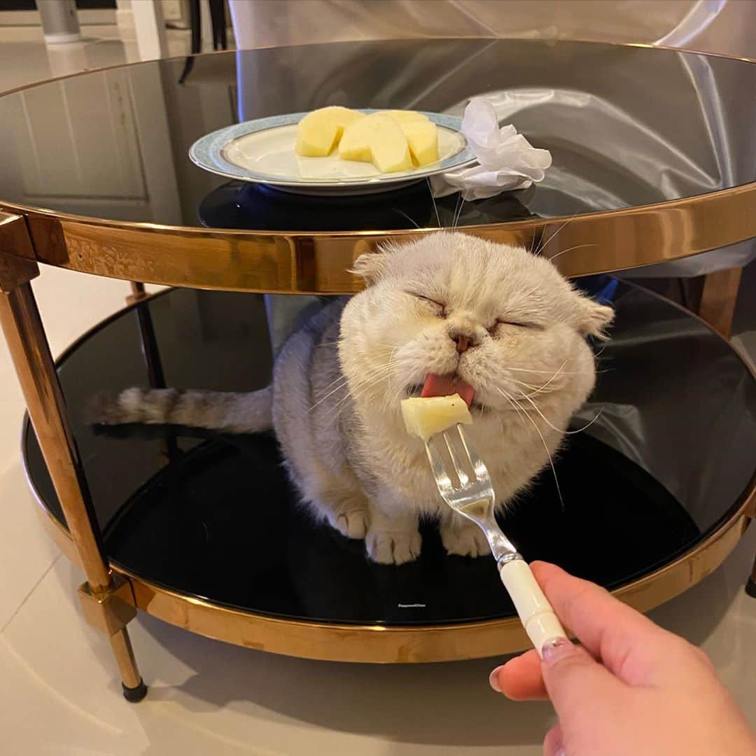 Haruのインスタグラム：「มันอร่อยยังไงนะ หน้าขนาดนั้น 🍎❣️」