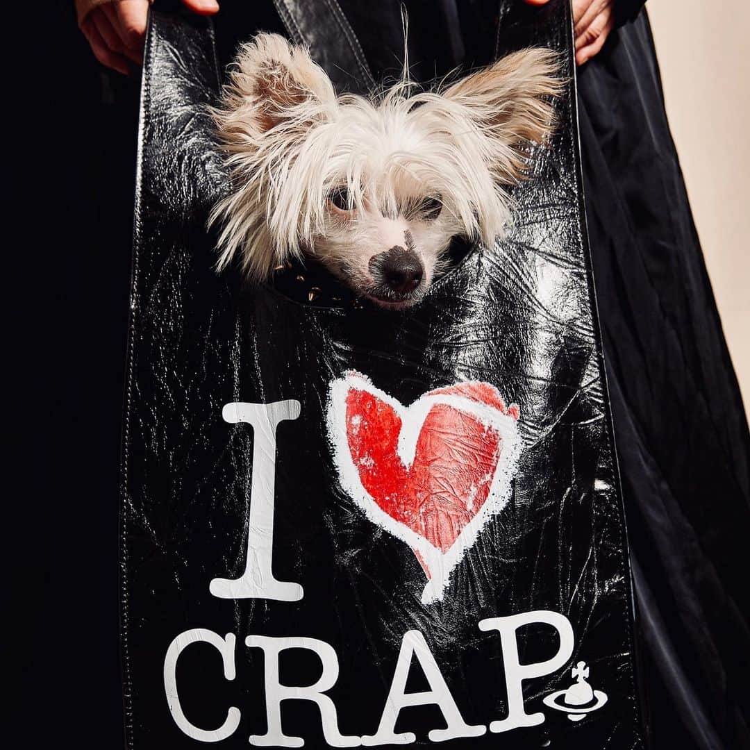 B. Akerlundさんのインスタグラム写真 - (B. AkerlundInstagram)「I ❤️ CRAP ........... a mini session with 📸 @johanlindeberg 🎨 @emmabernhard 🐶 @bootzy_smallz」7月31日 22時11分 - bcompleted