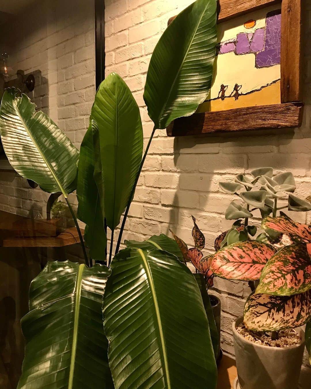 ホテルパシフィック金沢のグルメインスタ