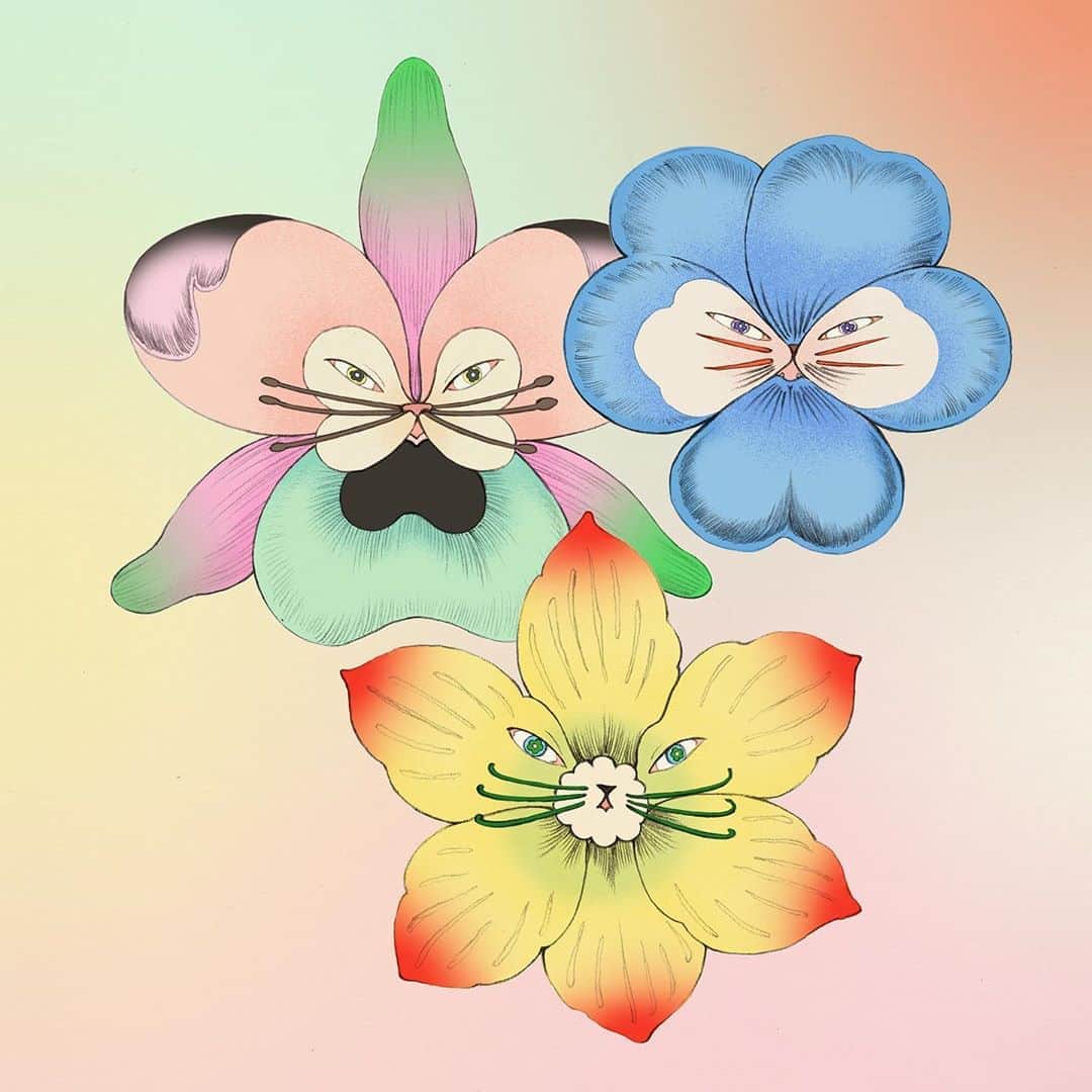 晴日のインスタグラム：「My Dream Bouquet」