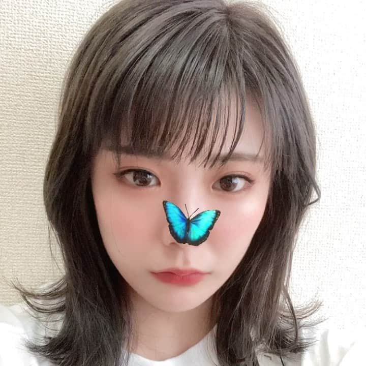 川村虹花のインスタグラム：「最近自撮りしてないので、 前に撮ったやつでも見てください🥺🦋  . #ボブアレンジ #外ハネボブ  #アッシュグレー #🦋」