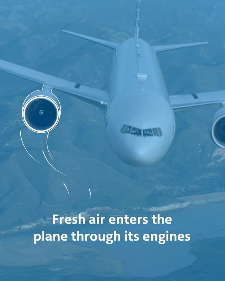 アメリカン航空のインスタグラム：「Find out how HEPA filters make our cabin air so refreshing! It's all part of our Clean Commitment to you.」