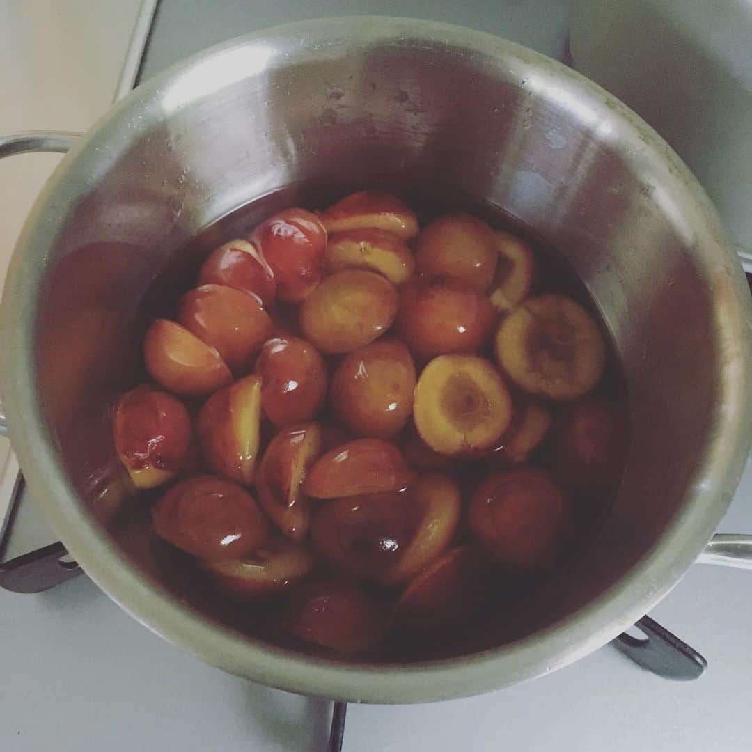 井上荒野さんのインスタグラム写真 - (井上荒野Instagram)「小さいプラムがあったので煮てみたよ。梅酒をちょっと入れたのどうだったかなあ。冷めたら皮をむきます。」8月1日 10時08分 - arereno