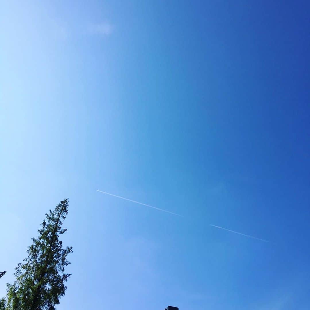 平野由実さんのインスタグラム写真 - (平野由実Instagram)「涼しい時間に公園へ #飛行機雲 #空 #sky」8月1日 8時52分 - yumi_hiranoo