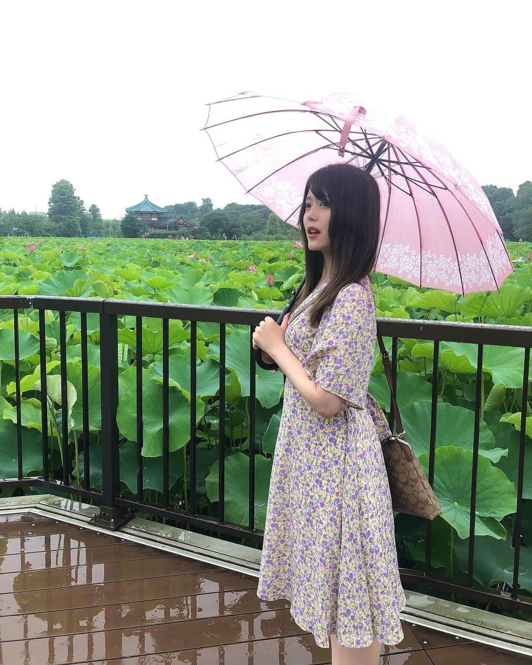 のインスタグラム：「梅雨あけたみたいだね🥰 今日から8月🌞🌴  私の家の周りでは急にセミ達が元気に泣き始めたよ∧( 'Θ' )∧  3枚目は笑いこらえてる写真🤣  ワンピース @petale_official   #韓国ファッション #韓国ワンピース #花柄ワンピ #花柄ワンピース #小花柄 #小花柄ワンピース #梅雨明け #通販サイト #ファッションコーデ #ファッション通販 #傘」