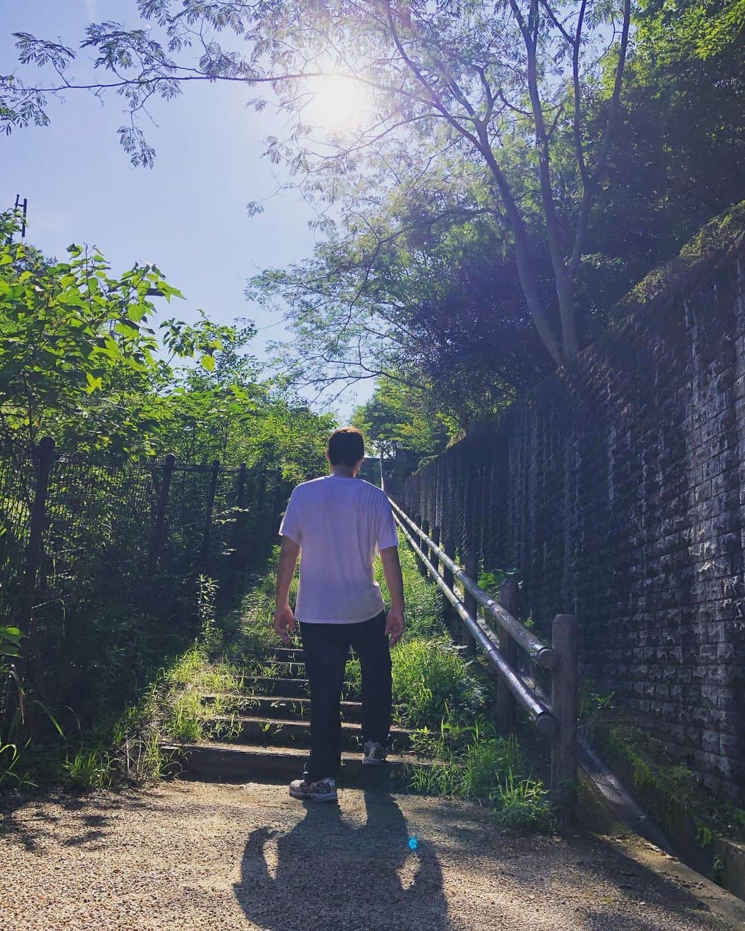 篠原信一さんのインスタグラム写真 - (篠原信一Instagram)「階段ダッシュ❗️違います...階段散歩です😁 #階段散歩 #judo #judoka」8月1日 9時39分 - s.shinohara_life