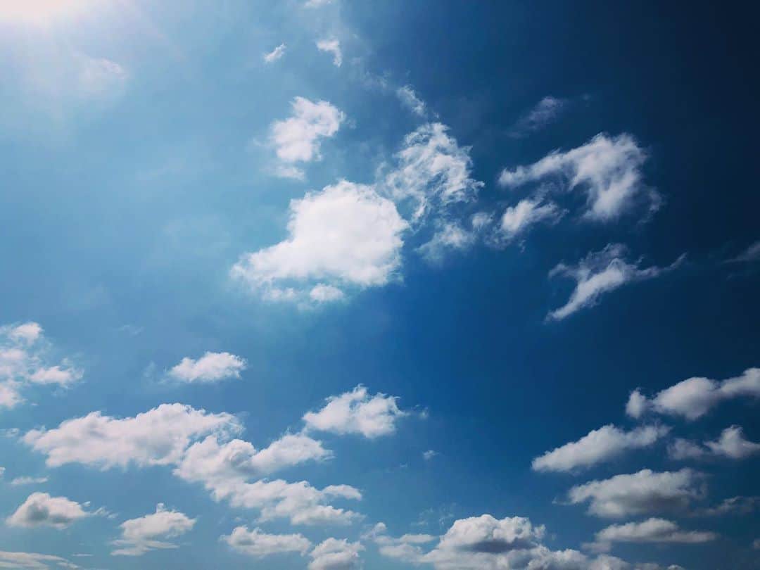 中村靖日のインスタグラム：「.  東京。  2020年08月01日09時11分。  この時代に、 あたらしい命が産まれたそうです。  おっさん泣くわ。  あたらしいお母さん。 どうぞゆっくり休んでくださいね。  あたらしい命さん。 げんきに生きてね。  #baby #child #diary #memory #record #tokyo #japan #photo #actor #ambient #landscape #withafterpost」